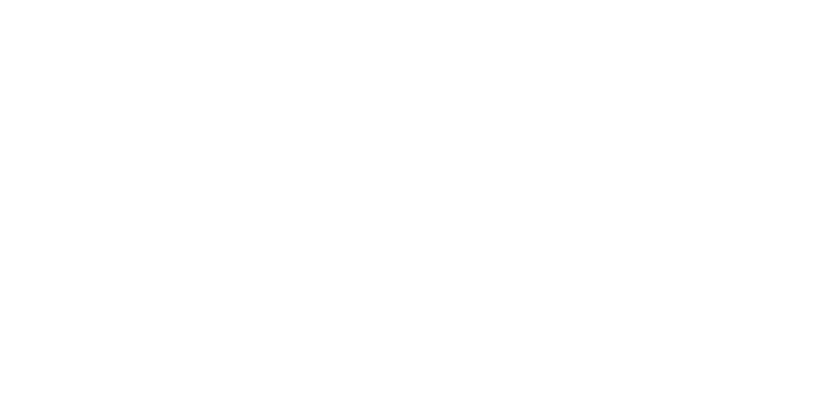 Spatial Vision logo
