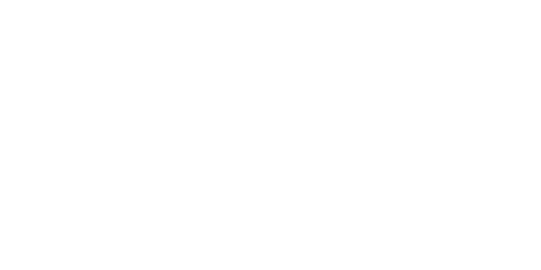 Victorian Academy logo